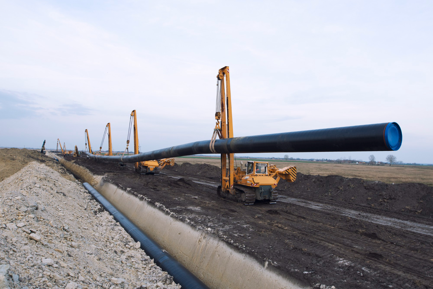 No1 Global Integrated Services project site